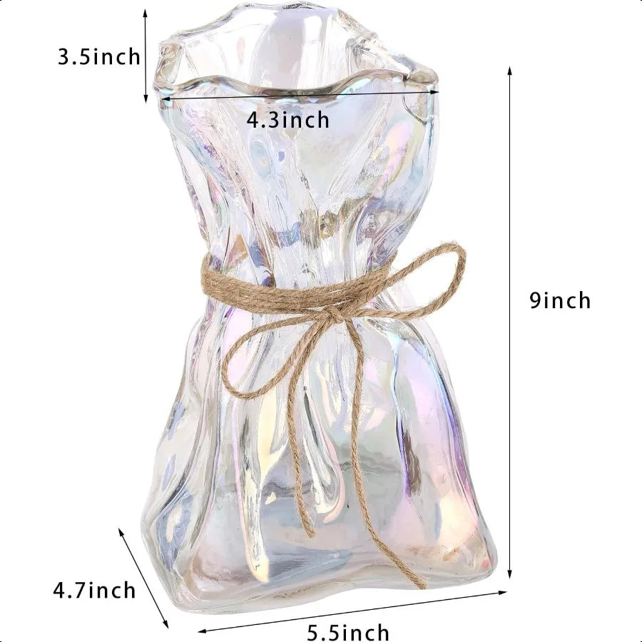 2025 Irregular Shaped Glass Vase