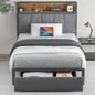 Twin Size Bed Frame with Headboard and Storage - Platform Bed Frame with Drawer Storage - Charging Station & LED Light