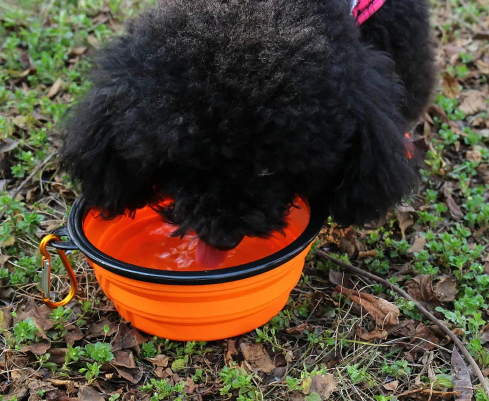 Collapsible Pet Silicone Dog Food & Water Bowl - Travel Portable Folding Pet Bowl