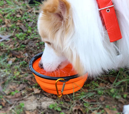 Collapsible Pet Silicone Dog Food & Water Bowl - Travel Portable Folding Pet Bowl