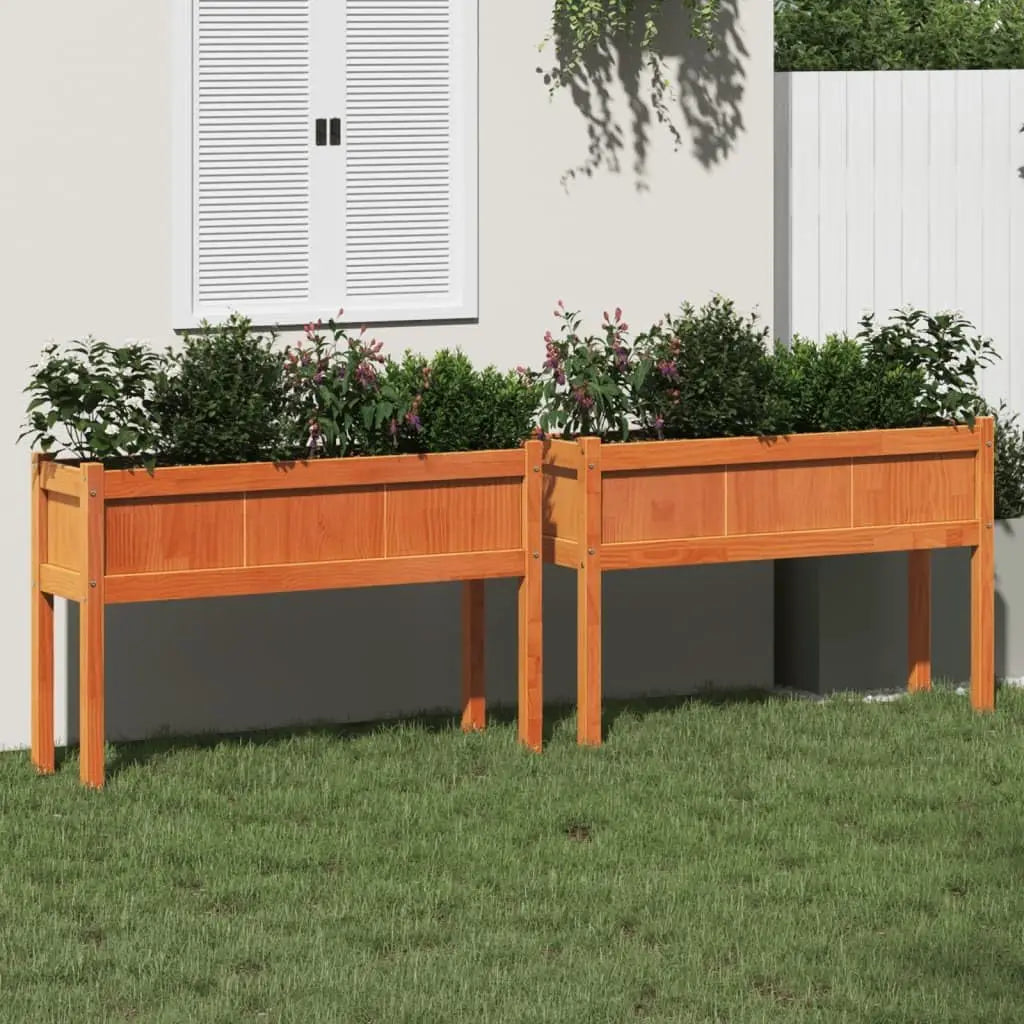 Garden Planters 2 pcs with Legs - Solid Wood