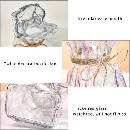 2025 Irregular Shaped Glass Vase
